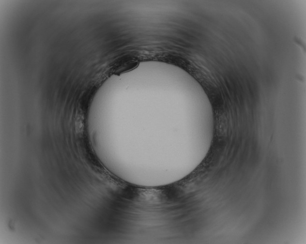 X0000090980226200708241410