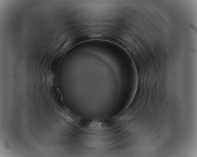 X0000090980227200708241410