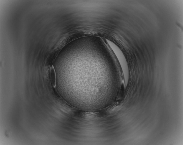 X0000090980229200708241410
