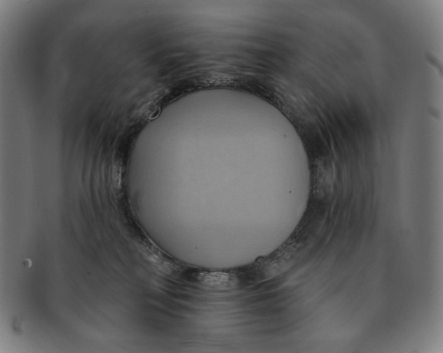 X0000090980230200708241410