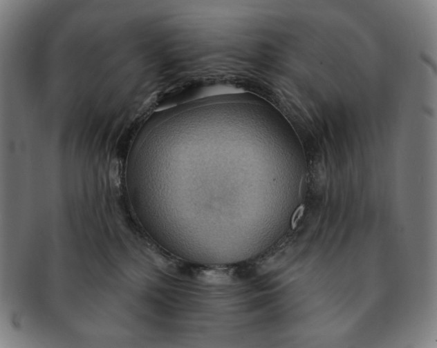 X0000090980232200708241410