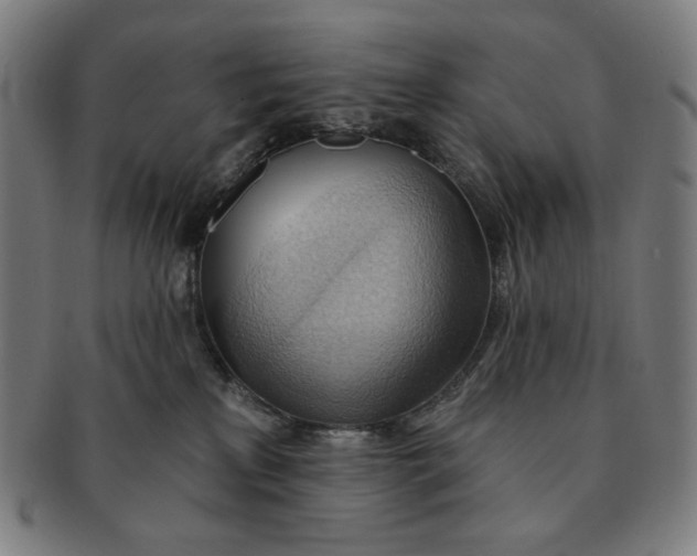 X0000090980233200708241410