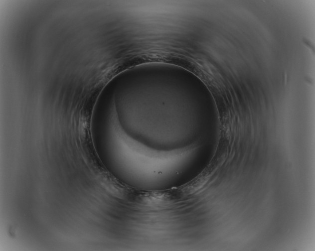 X0000090980235200708241410