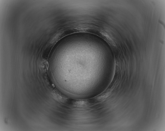 X0000090980237200708241410