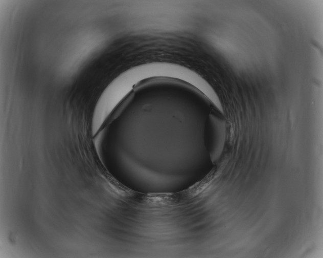 X0000090980239200708241410