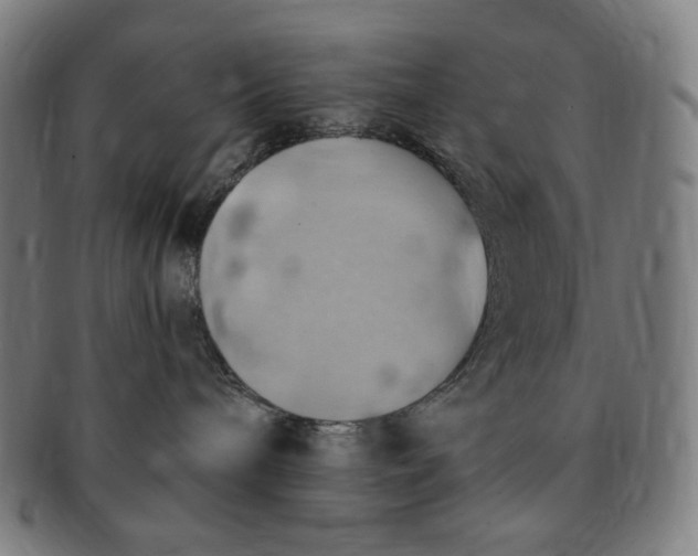 X0000090980240200708241410
