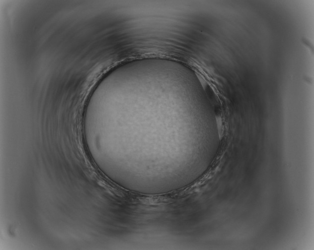 X0000090980241200708241409