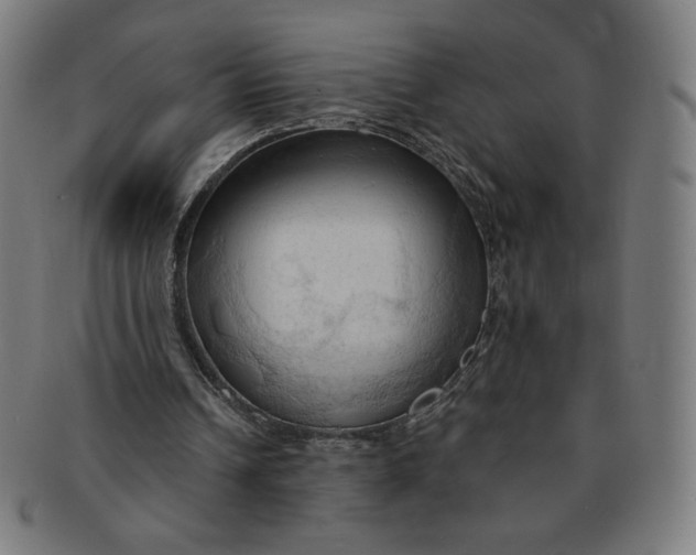 X0000090980242200708241409