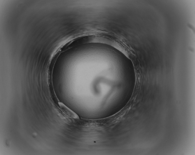 X0000090980244200708241409