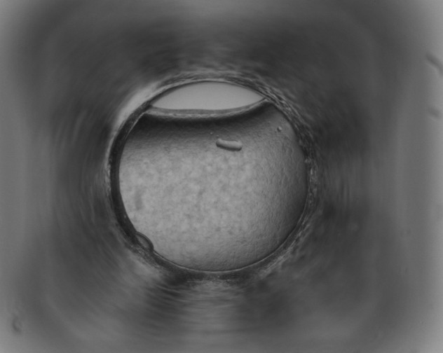 X0000090980246200708241409