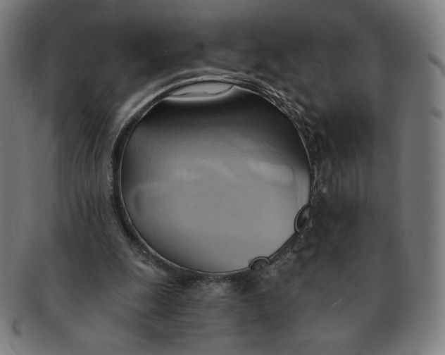 X0000090980247200708241409