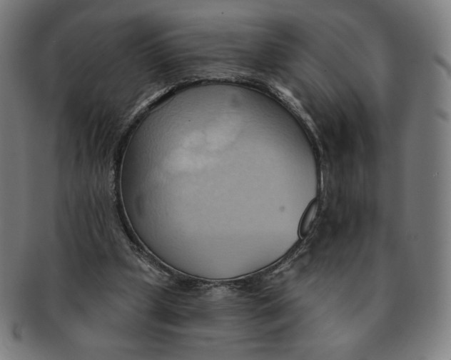 X0000090980249200708241409