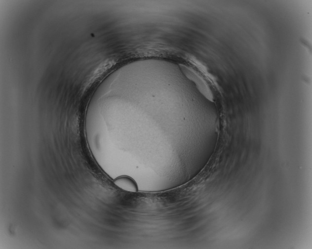 X0000090980250200708241409