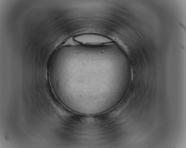 X0000090980253200708241409