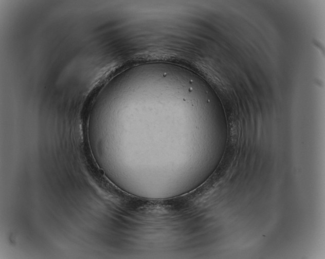 X0000090980254200708241409