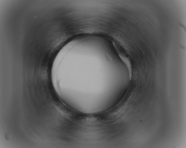 X0000090980256200708241409