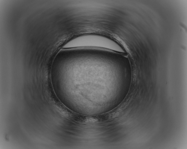 X0000090980257200708241409