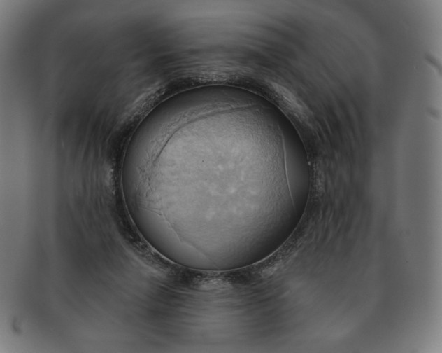 X0000090980258200708241410