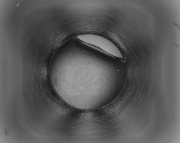 X0000090980259200708241410