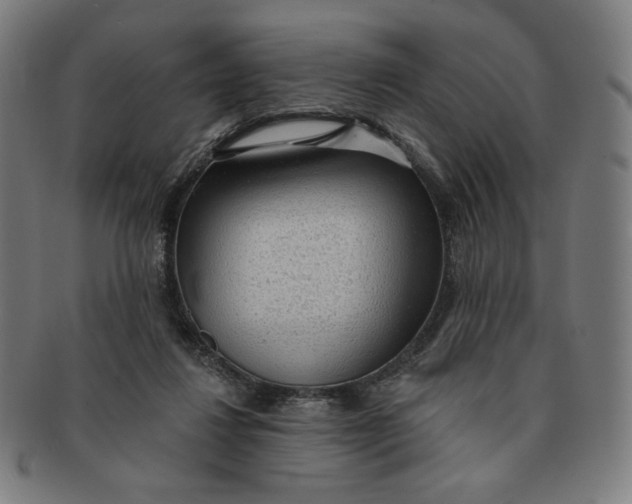 X0000090980260200708241410
