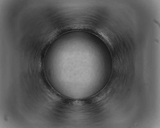 X0000090980261200708241410