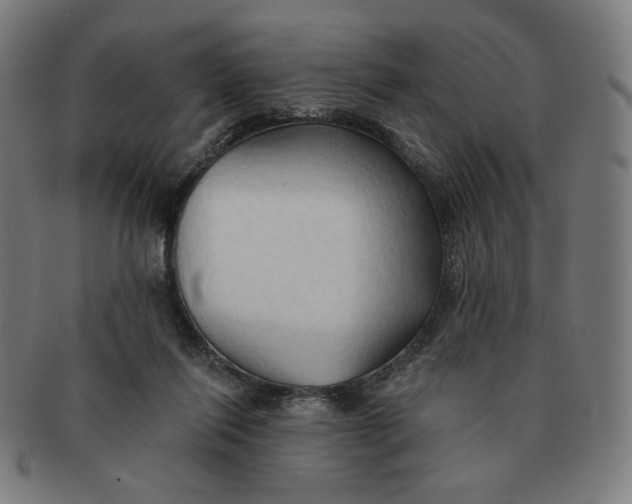 X0000090980262200708241410