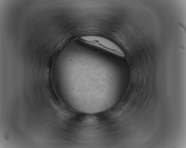 X0000090980263200708241410