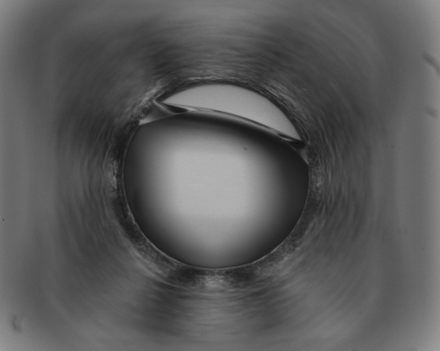 X0000090980264200708241410