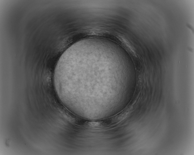 X0000090980265200708241410