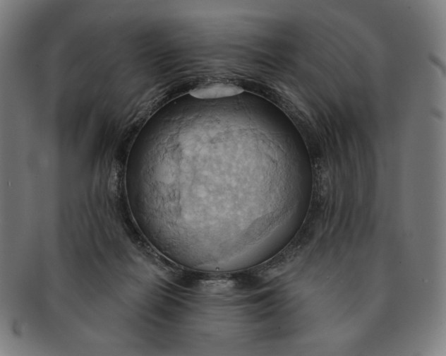 X0000090980266200708241410