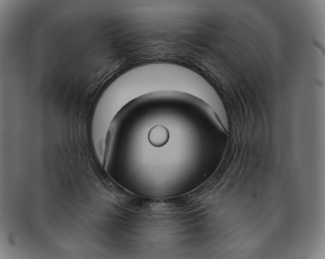 X0000090980268200708241410