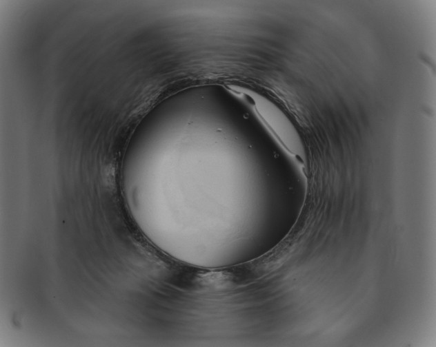 X0000090980269200708241410