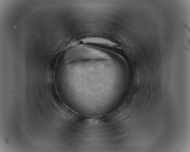 X0000090980272200708241410