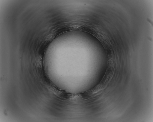 X0000090980274200708241410