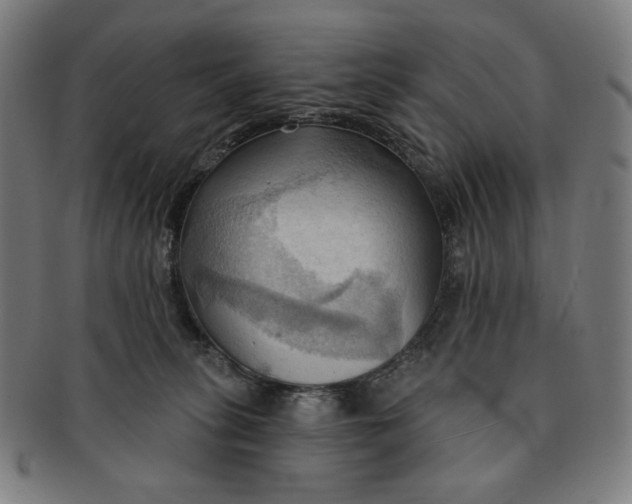 X0000090980275200708241410