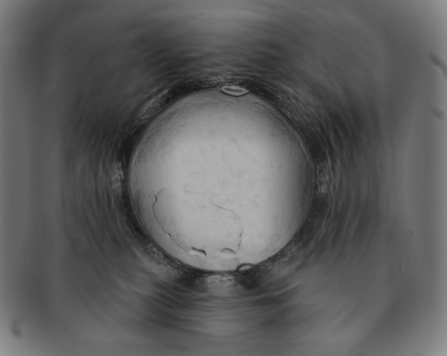 X0000090980279200708241410