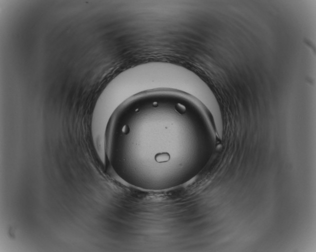 X0000090980280200708241410