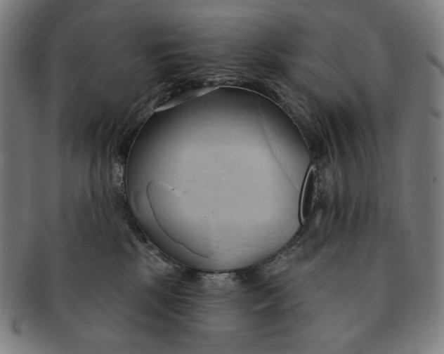 X0000090980281200708241410