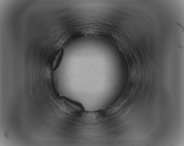 X0000090980282200708241410