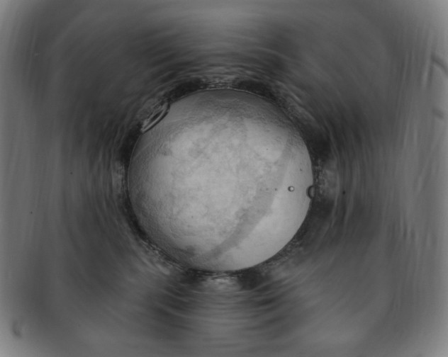 X0000090980283200708241410