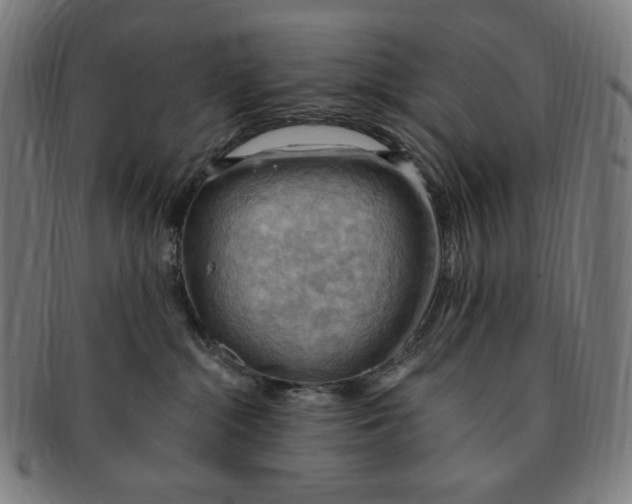X0000090980284200708241410