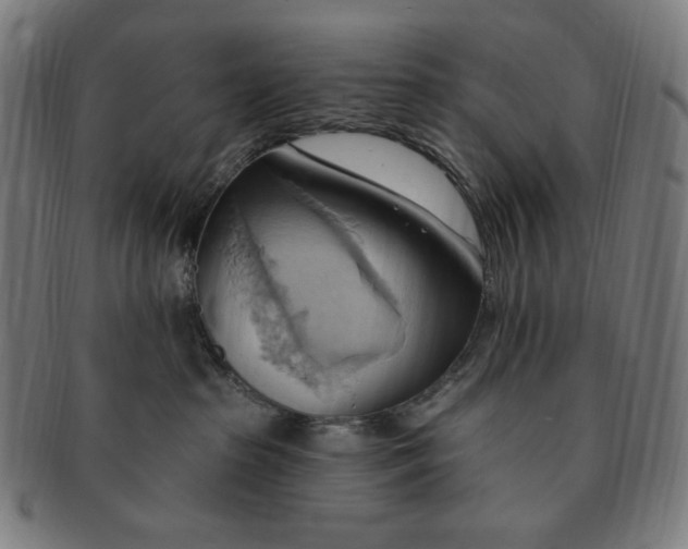 X0000090980285200708241410