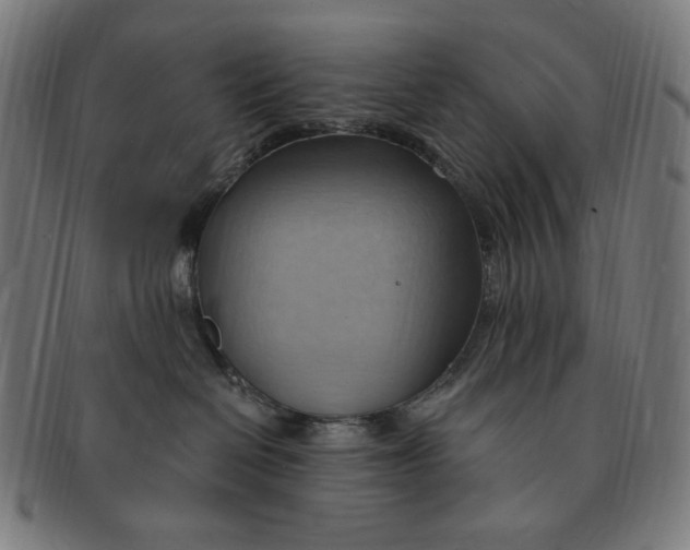 X0000090980286200708241410