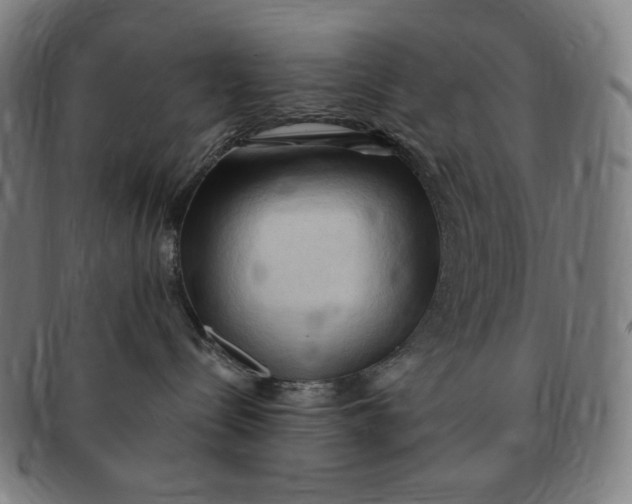 X0000090980288200708241410