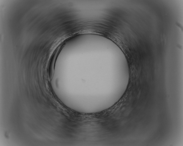 X0000090980289200708241409