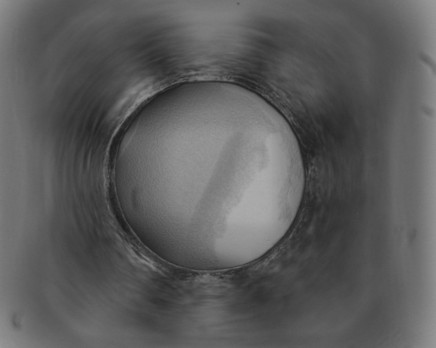 X0000090980290200708241409