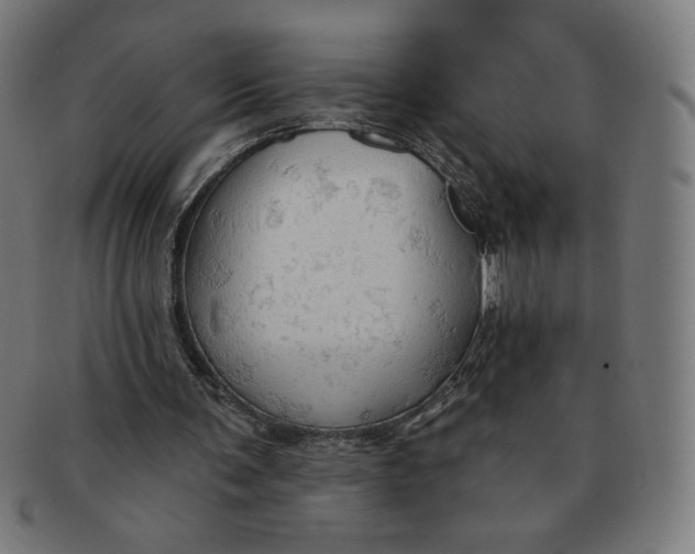 X0000090980291200708241409