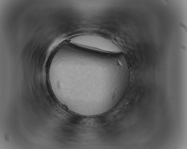X0000090980294200708241409