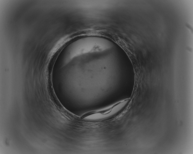 X0000090980295200708241409