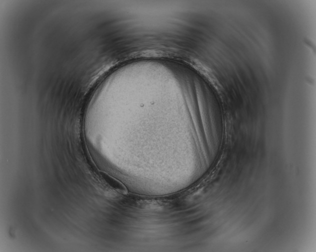 X0000090980297200708241409